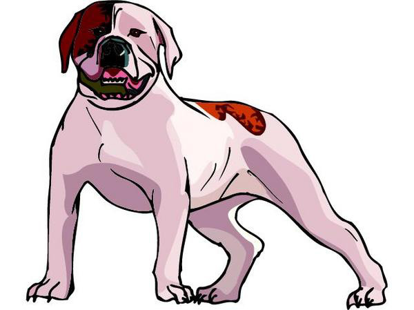 bevs opinion index watch dog 600x449 bevs opinion index watch dog 600x449